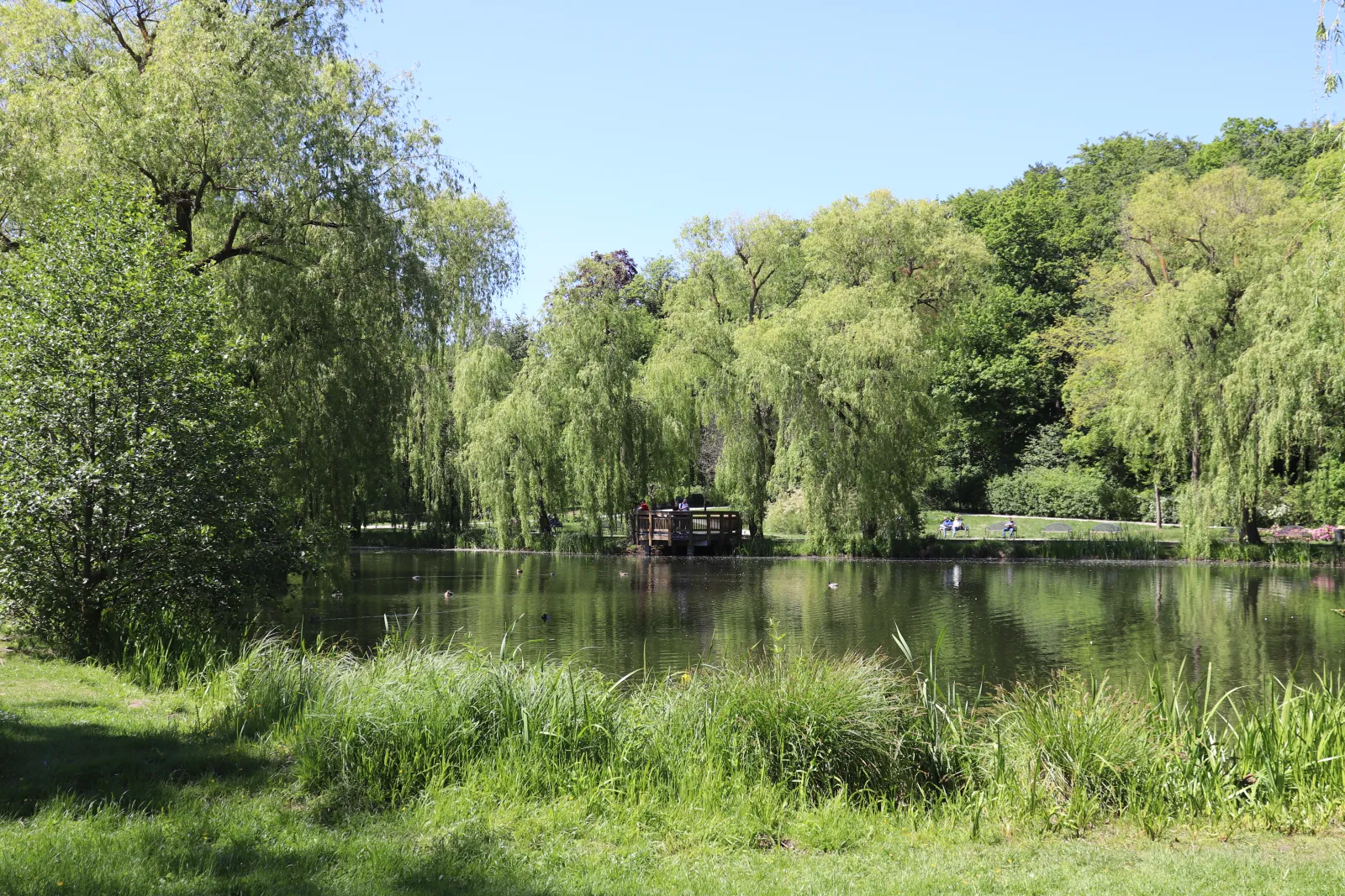 Park Oruński im. Emilii Hoene
